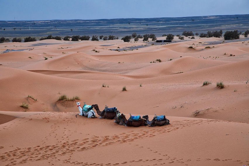 Tangier to Chefchaouen, Fes, Marrakech & Sahara