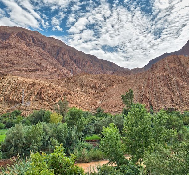 Desert Tours From Marrakech: Choosing Your Sahara Trip